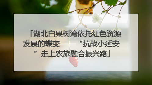 湖北白果树湾依托红色资源发展的蝶变——“抗战小延安”走上农旅融合振兴路