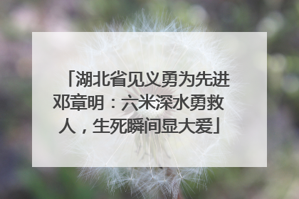 湖北省见义勇为先进邓章明：六米深水勇救人，生死瞬间显大爱