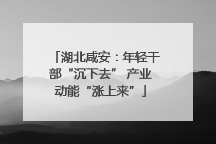 湖北咸安：年轻干部“沉下去” 产业动能“涨上来”
