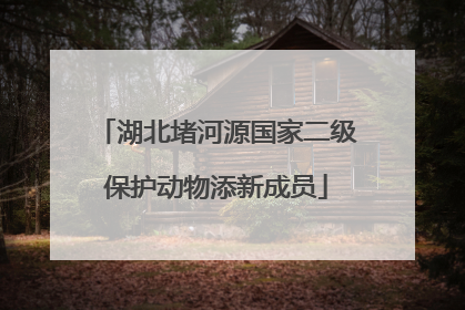 湖北堵河源国家二级保护动物添新成员