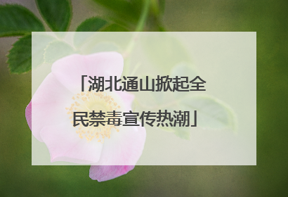 湖北通山掀起全民禁毒宣传热潮