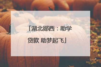 湖北郧西：助学贷款 助梦起飞