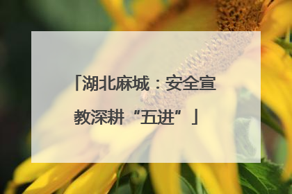 湖北麻城：安全宣教深耕“五进”
