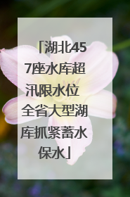湖北457座水库超汛限水位 全省大型湖库抓紧蓄水保水