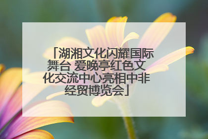 湖湘文化闪耀国际舞台 爱晚亭红色文化交流中心亮相中非经贸博览会