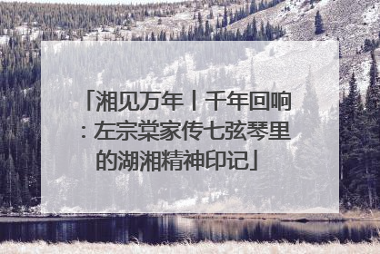 湘见万年丨千年回响：左宗棠家传七弦琴里的湖湘精神印记