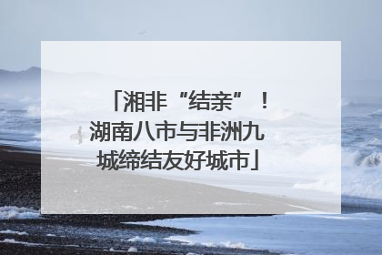湘非“结亲”！湖南八市与非洲九城缔结友好城市