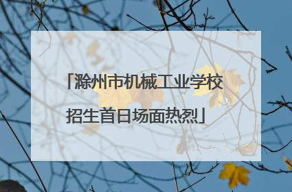 滁州市机械工业学校招生首日场面热烈