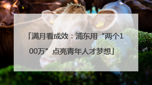 满月看成效：浦东用“两个100万”点亮青年人才梦想