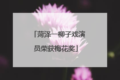 菏泽一柳子戏演员荣获梅花奖