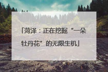 菏泽：正在挖掘“一朵牡丹花”的无限生机