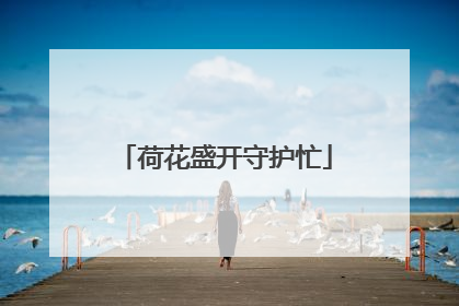 荷花盛开守护忙