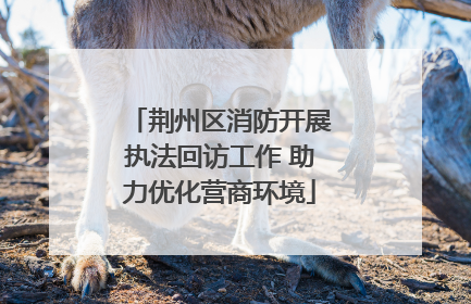 荆州区消防开展执法回访工作 助力优化营商环境