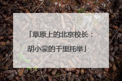 草原上的北京校长：胡小蒙的千里托举