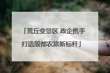 荒丘变景区 政企携手打造殷都农旅新标杆
