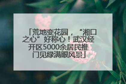 荒地变花园，“湘口之心”好称心！武汉经开区5000余居民推门见绿满眼风景