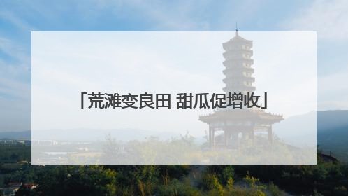 荒滩变良田 甜瓜促增收