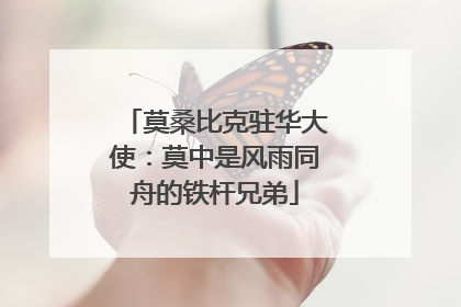 莫桑比克驻华大使：莫中是风雨同舟的铁杆兄弟