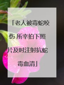 老人被毒蛇咬伤 所幸拍下照片及时注射抗蛇毒血清