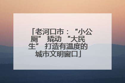 老河口市：“小公厕” 撬动 “大民生” 打造有温度的城市文明窗口