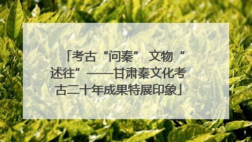 考古“问秦” 文物“述往”——甘肃秦文化考古二十年成果特展印象