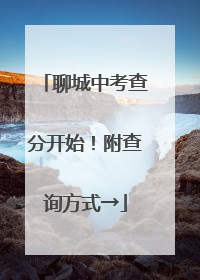 聊城中考查分开始！附查询方式→