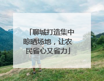 聊城打造集中晾晒场地，让农民省心又省力
