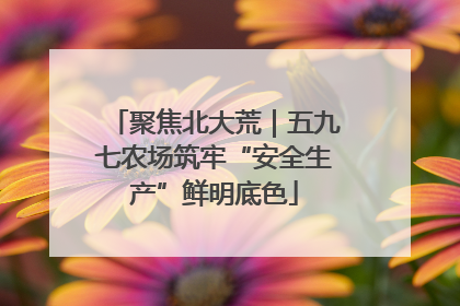 聚焦北大荒｜五九七农场筑牢“安全生产”鲜明底色