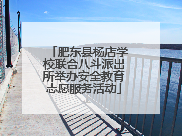 肥东县杨店学校联合八斗派出所举办安全教育志愿服务活动