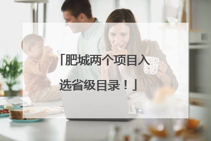 肥城两个项目入选省级目录！