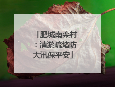 肥城南栾村：清淤疏堵防大汛保平安