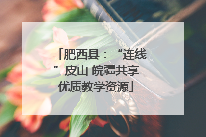 肥西县：“连线”皮山 皖疆共享优质教学资源