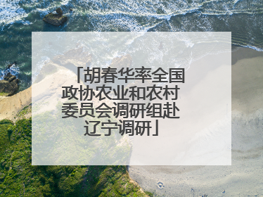 胡春华率全国政协农业和农村委员会调研组赴辽宁调研