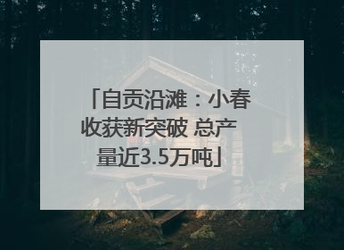 自贡沿滩：小春收获新突破 总产量近3.5万吨
