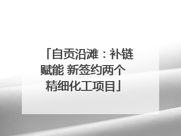 自贡沿滩：补链赋能 新签约两个精细化工项目