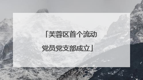 芙蓉区首个流动党员党支部成立