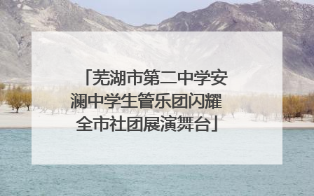 芜湖市第二中学安澜中学生管乐团闪耀全市社团展演舞台