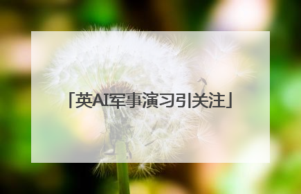 英AI军事演习引关注