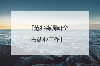 范兆森调研全市就业工作