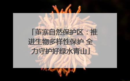 董寨自然保护区：推进生物多样性保护 全力守护好绿水青山