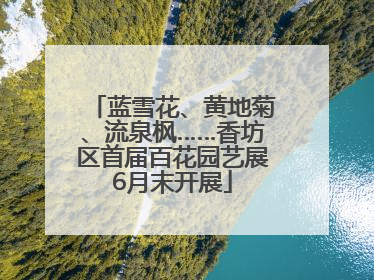 蓝雪花、黄地菊、流泉枫……香坊区首届百花园艺展6月末开展