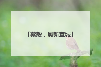 蔡毅，履新宣城