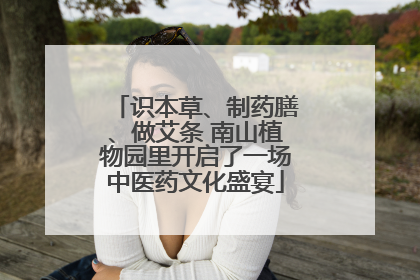识本草、制药膳、做艾条 南山植物园里开启了一场中医药文化盛宴