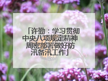 许勤：学习贯彻中央八项规定精神 周密部署做好防汛备汛工作