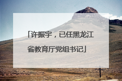 许振宇，已任黑龙江省教育厅党组书记