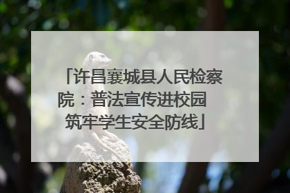 许昌襄城县人民检察院：普法宣传进校园 筑牢学生安全防线