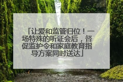 让爱和监管归位！一场特殊的听证会后，督促监护令和家庭教育指导方案同时送达