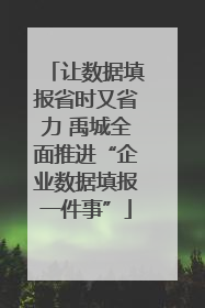 让数据填报省时又省力 禹城全面推进“企业数据填报一件事”