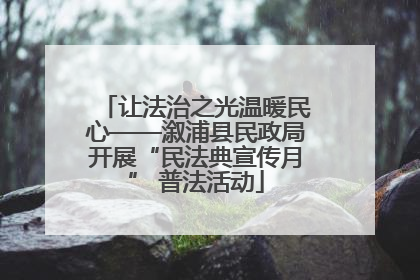 让法治之光温暖民心——溆浦县民政局开展“民法典宣传月” 普法活动
