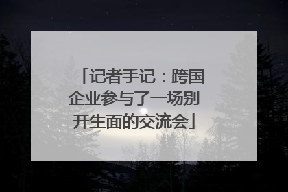 记者手记：跨国企业参与了一场别开生面的交流会